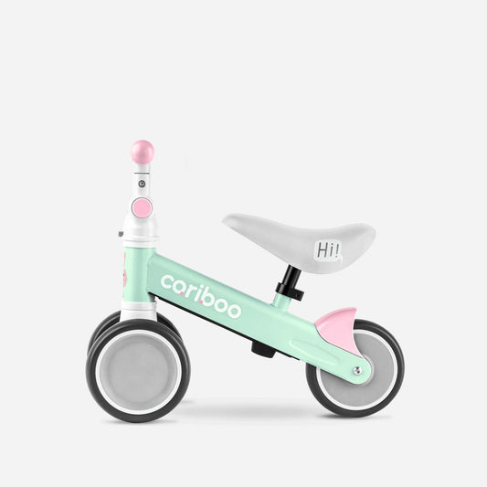 Cariboo Friends (mint)